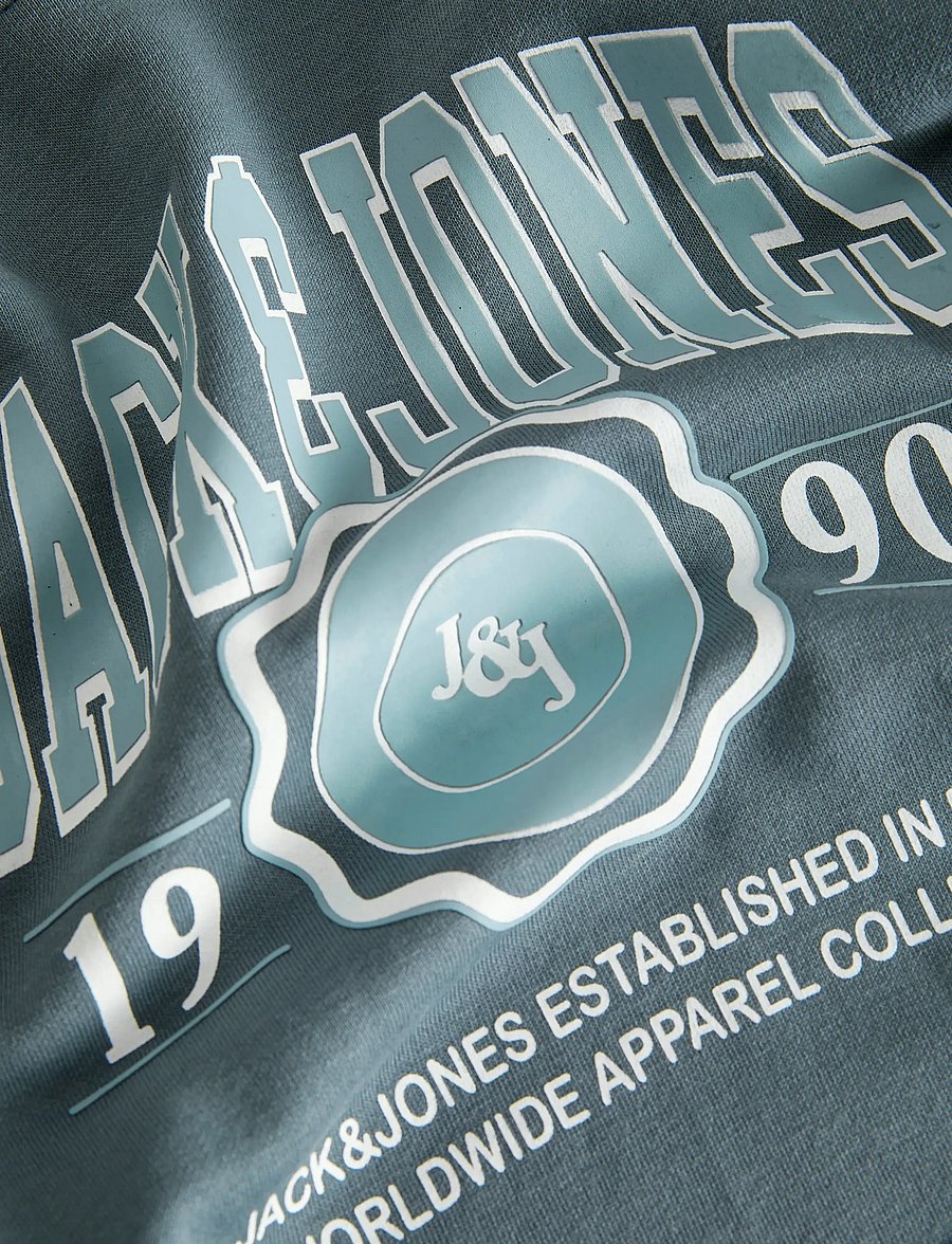 Jack & Jones - JJMAKO SWEAT HOOD - hettegensere - stormy weather - 2