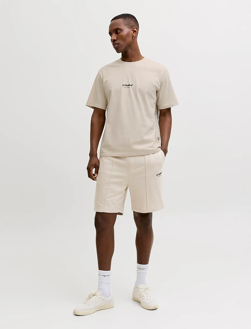 Jack & Jones - JJESOHO TEE SS CREW NECK NOOS - lühikeste varrukatega t-särgid - moonbeam - 4