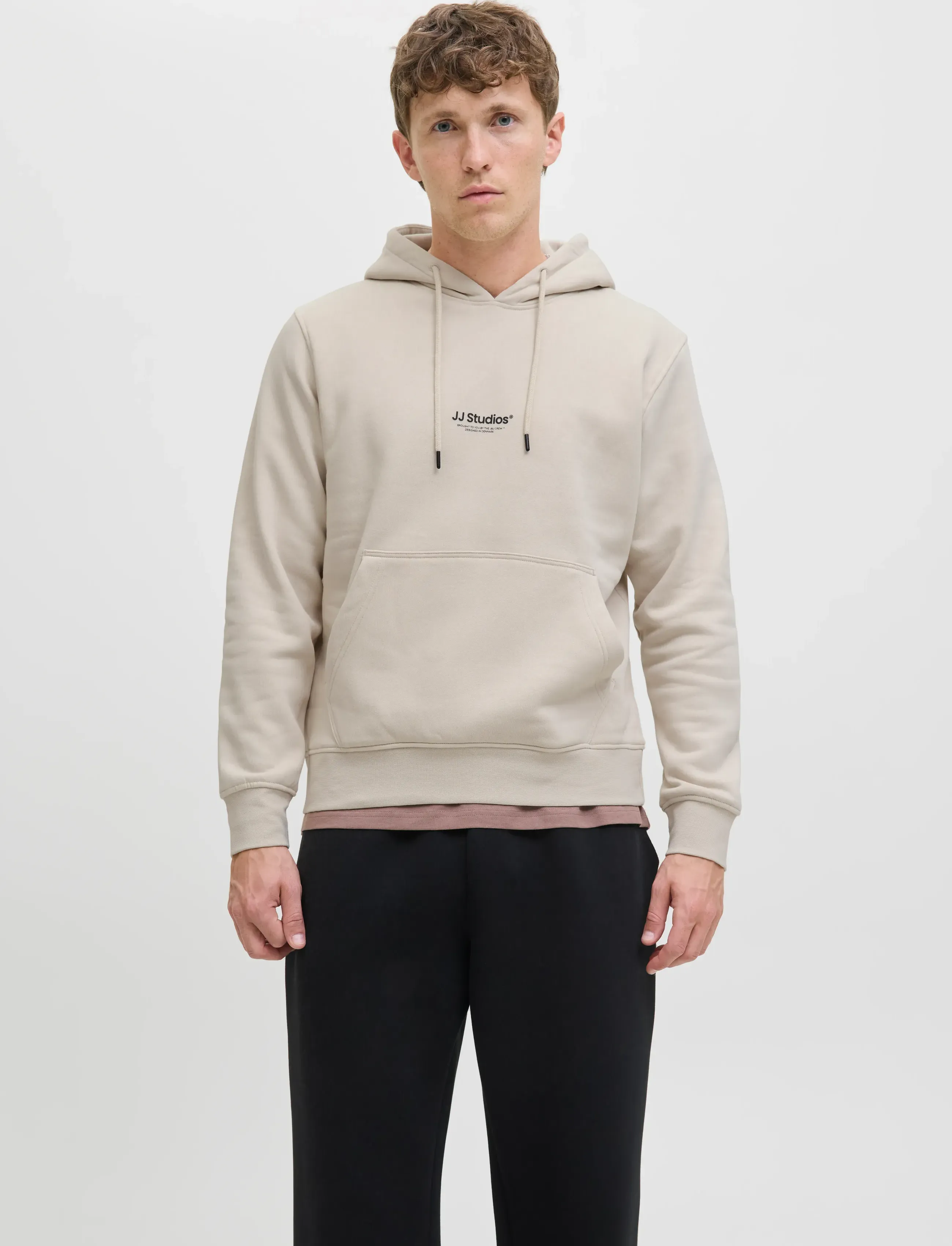Jack & Jones JJESOHO SWEAT HOOD NOOS - Kapuzenpullover - MOONBEAM / cream