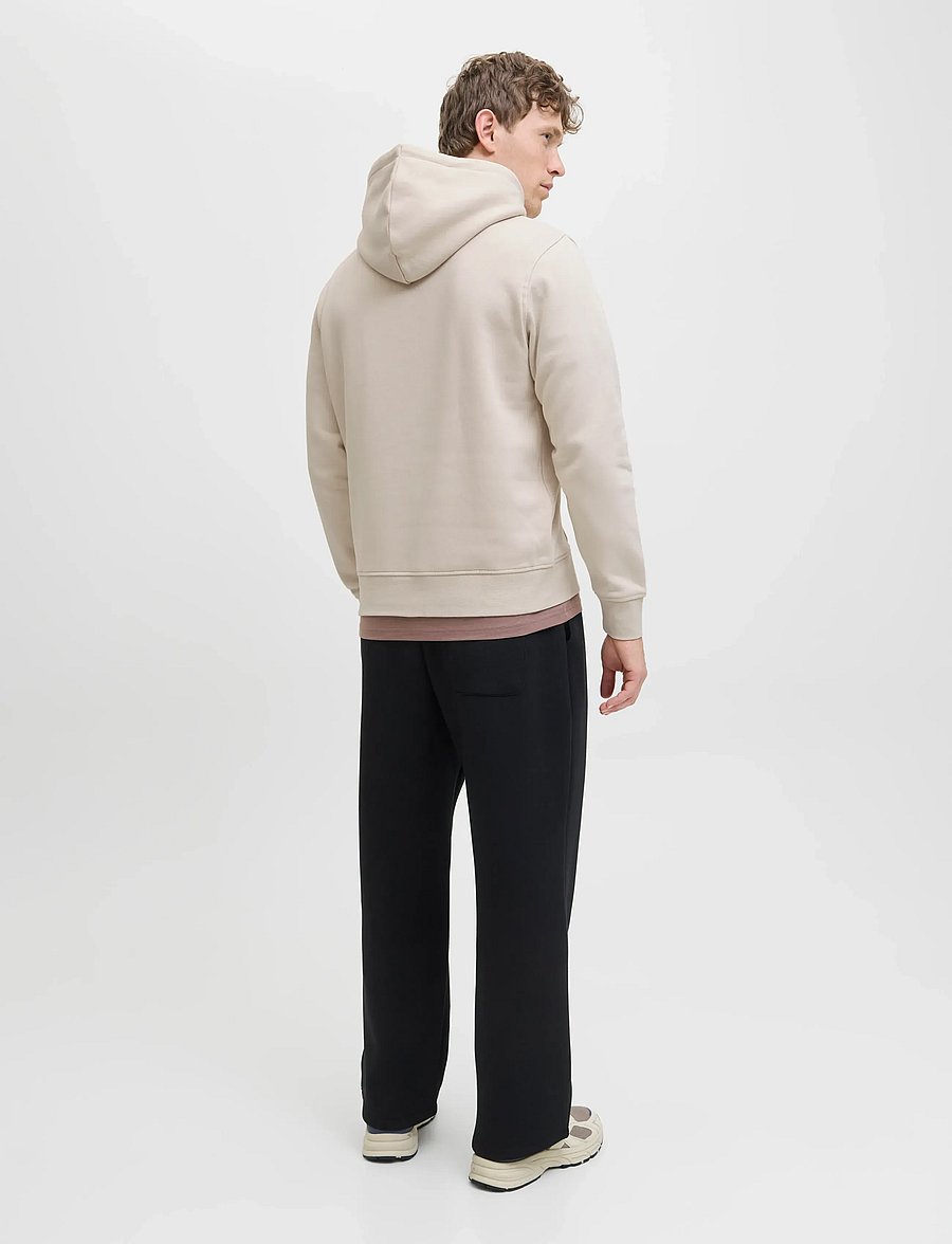 Jack & Jones - JJESOHO SWEAT HOOD NOOS - kapuzenpullover - moonbeam - 2