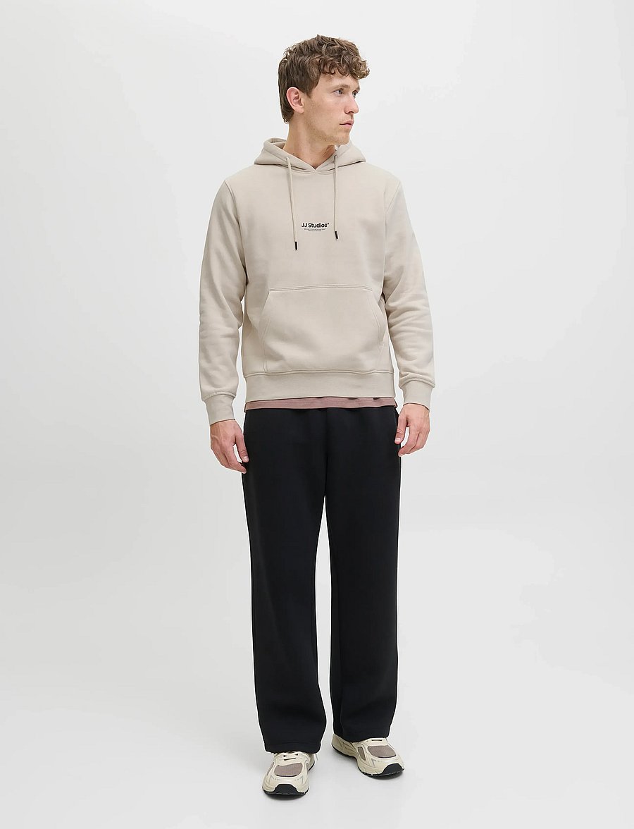 Jack & Jones - JJESOHO SWEAT HOOD NOOS - kapuzenpullover - moonbeam - 4