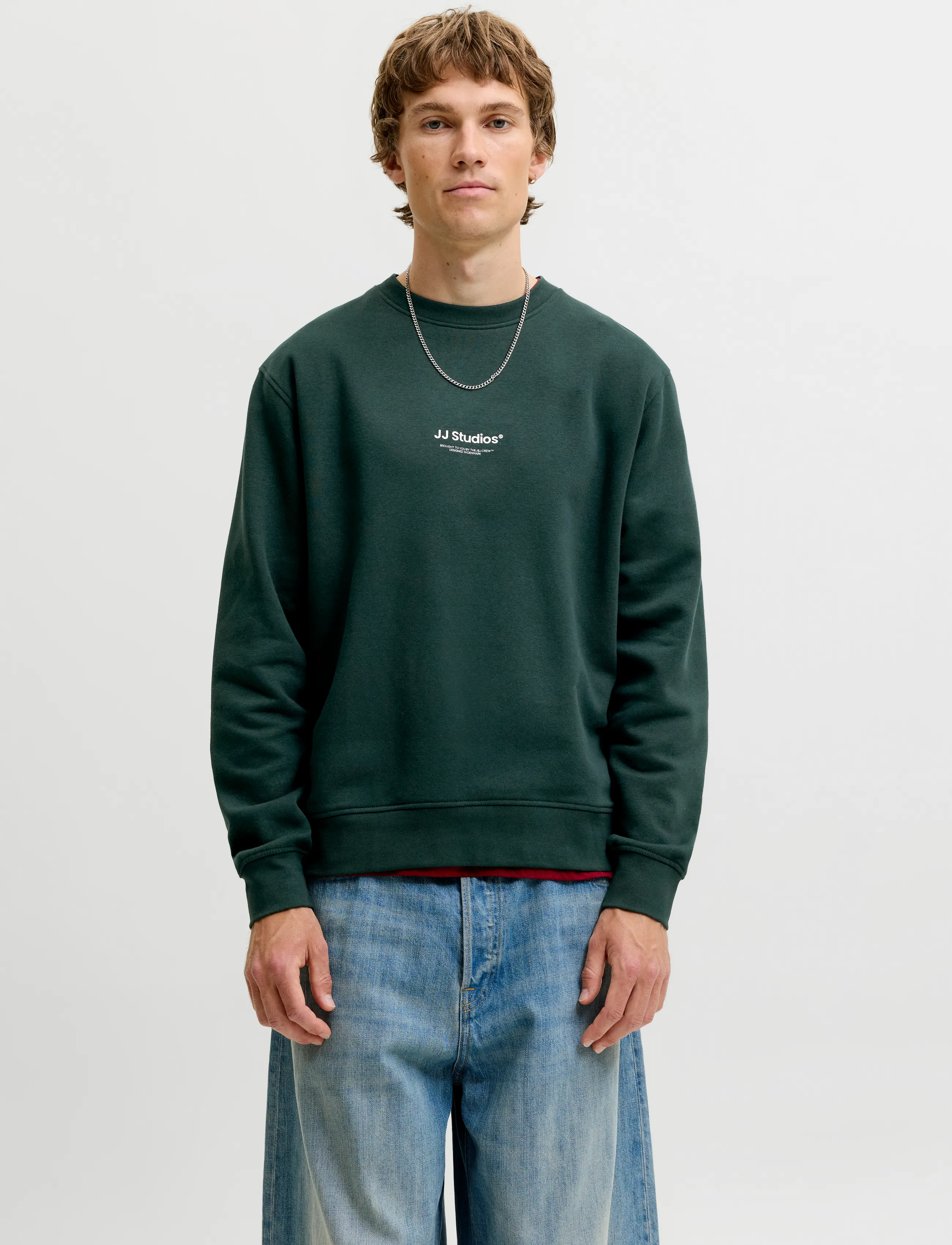 Jack & Jones JJESOHO SWEAT CREW NECK NOOS - Dressipluusid - SCARAB / green
