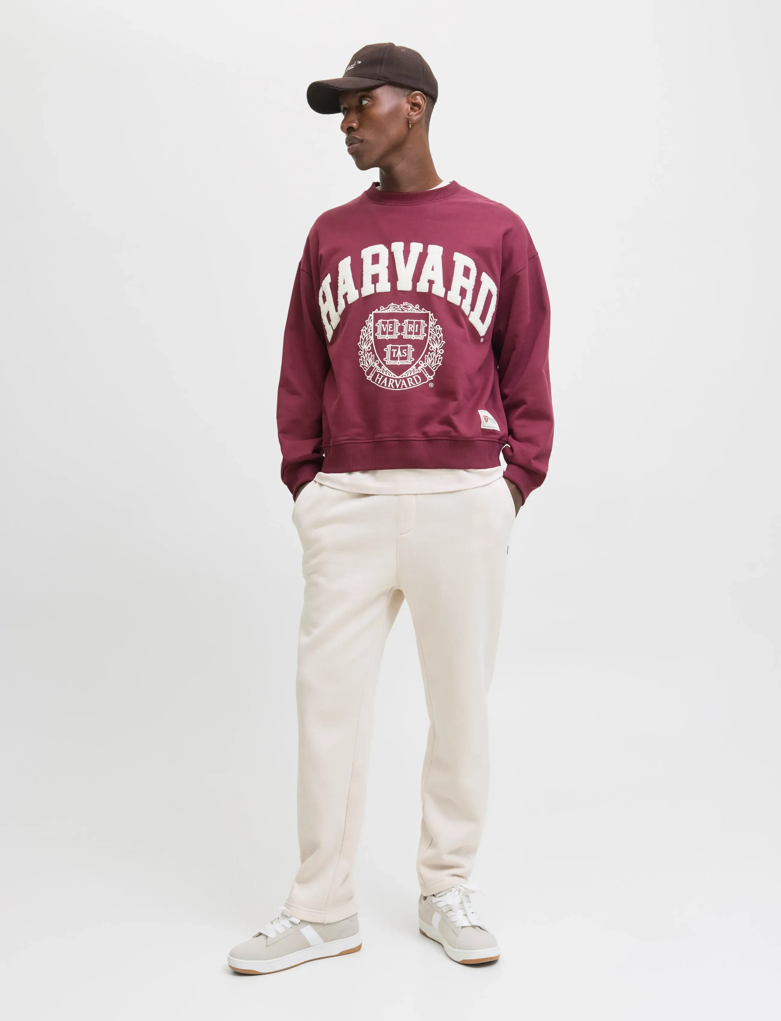 Jack & Jones JPSTKANE BRADLEY UNCUFFED SWT PANTS NOOS - Kläder - MOONBEAM / cream