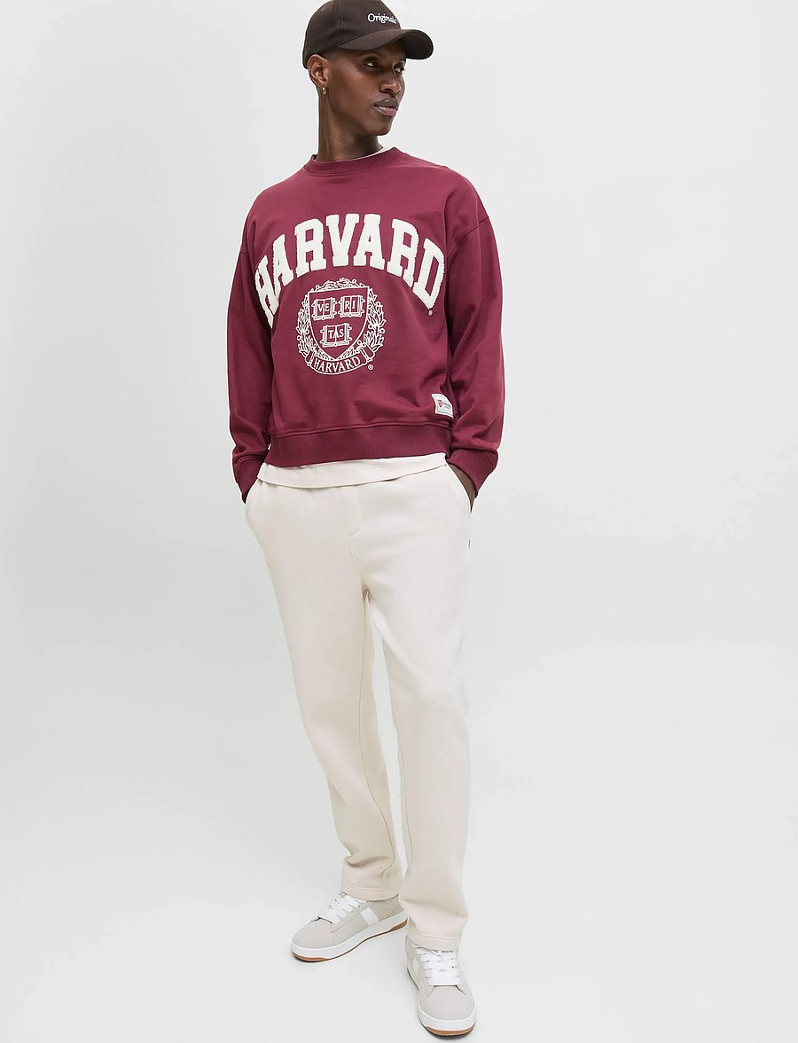 Jack & Jones - JPSTKANE BRADLEY UNCUFFED SWT PANTS NOOS - nos éditoriaux - moonbeam - 5