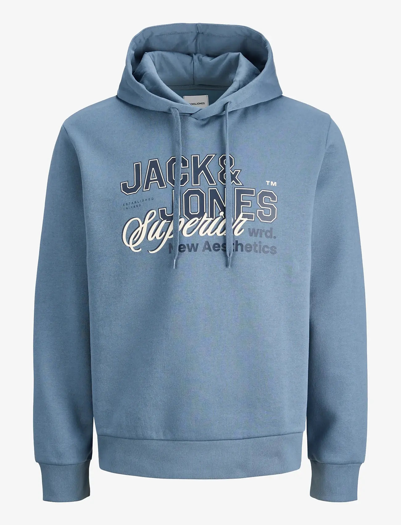 Jack & Jones - JJELOGO SWEAT HOOD 2 COL 25/26 NOOS - hoodies - blue mirage - 1