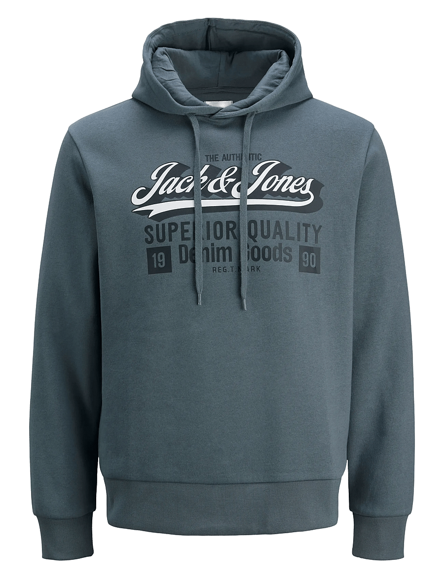 Jack & Jones - JJELOGO SWEAT HOOD 2 COL 25/26 NOOS - kapuzenpullover - stormy weather - 1