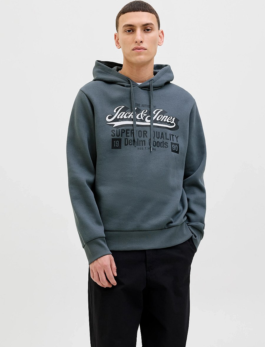 Jack & Jones - JJELOGO SWEAT HOOD 2 COL 25/26 NOOS - kapuzenpullover - stormy weather - 0