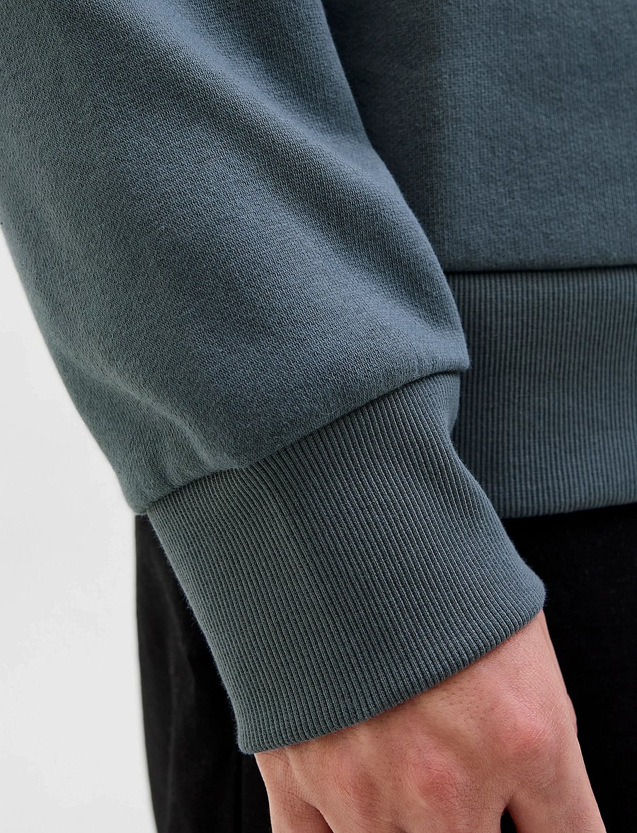 Jack & Jones - JJELOGO SWEAT HOOD 2 COL 25/26 NOOS - kapuzenpullover - stormy weather - 4