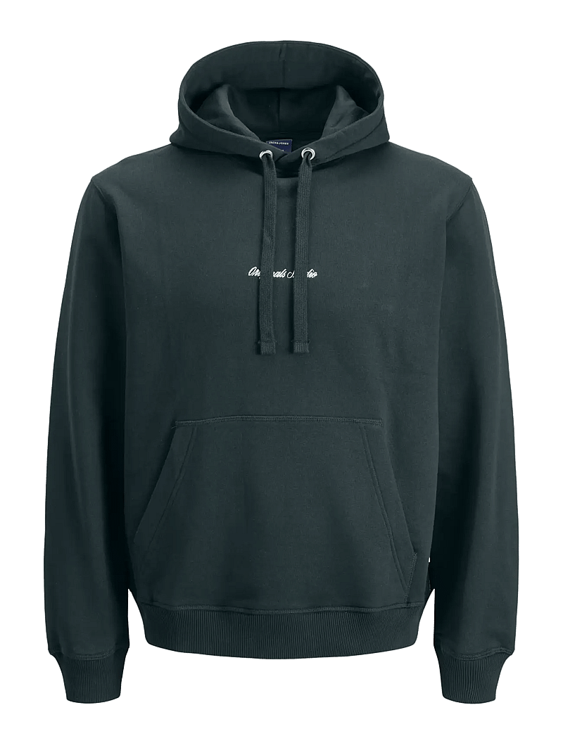 Jack & Jones - JORNORREBRO EMB SWEAT HOOD NOOS - kapuutsiga dressipluusid - forest river - 1
