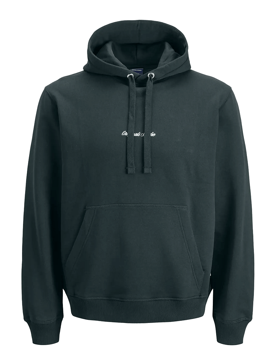 Jack & Jones - JORNORREBRO EMB SWEAT HOOD NOOS - sweats à capuche - forest river - 1