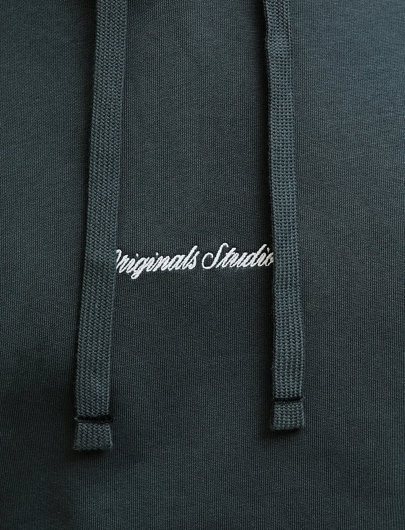 Jack & Jones - JORNORREBRO EMB SWEAT HOOD NOOS - kapuutsiga dressipluusid - forest river - 5