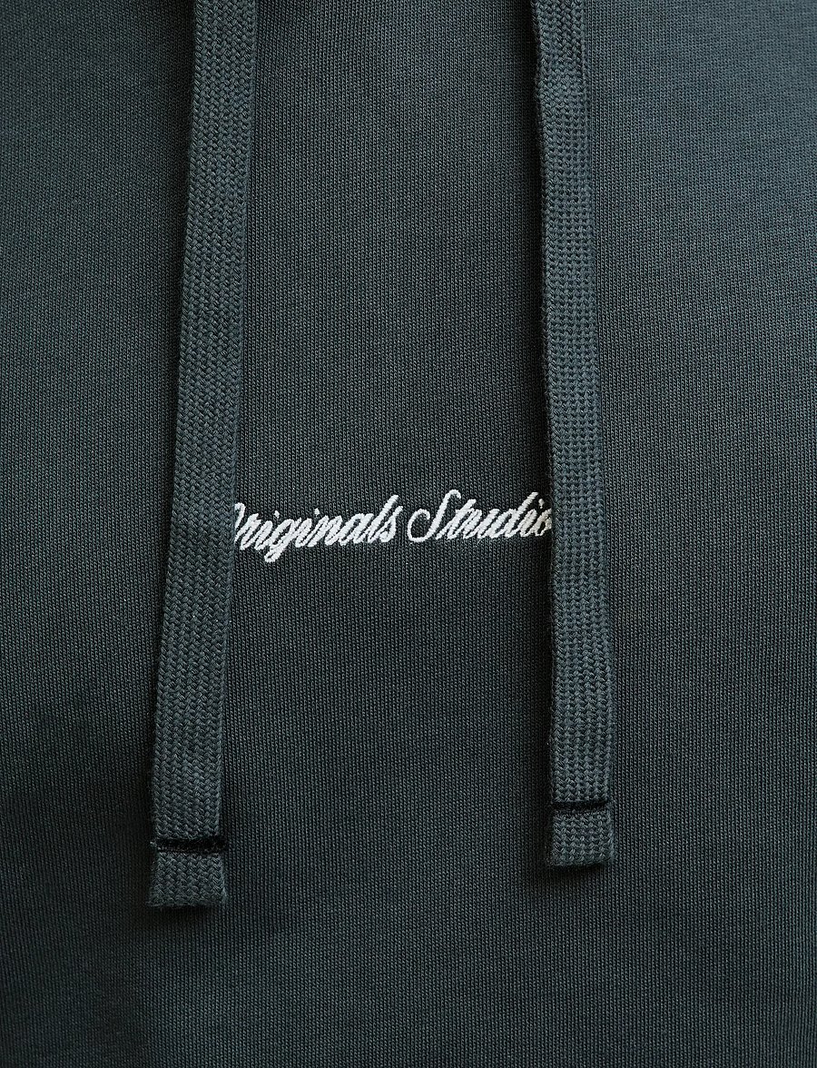 Jack & Jones - JORNORREBRO EMB SWEAT HOOD NOOS - sweats à capuche - forest river - 5