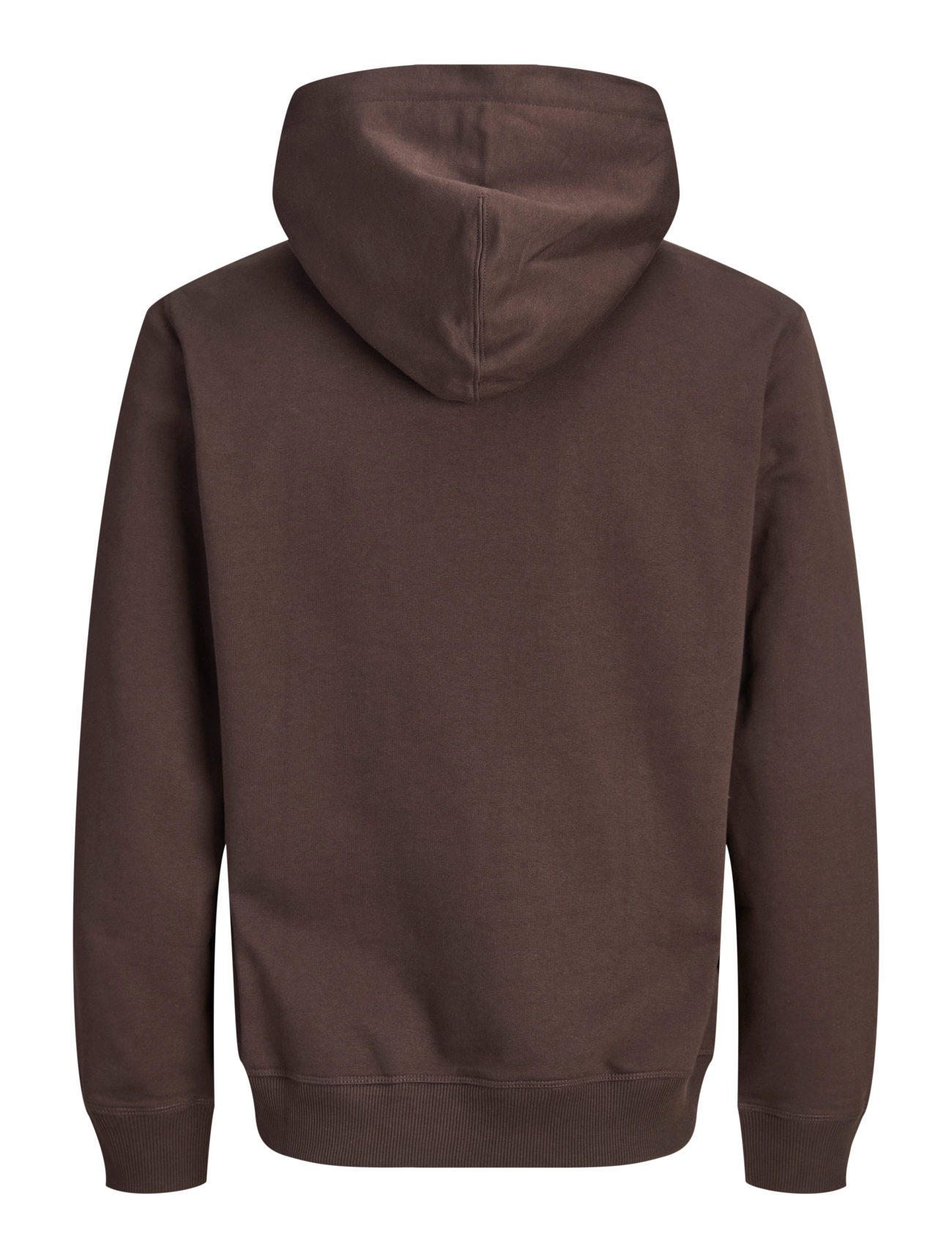 Jack & Jones - JORNORREBRO EMB SWEAT HOOD NOOS - kapuzenpullover - java - 2