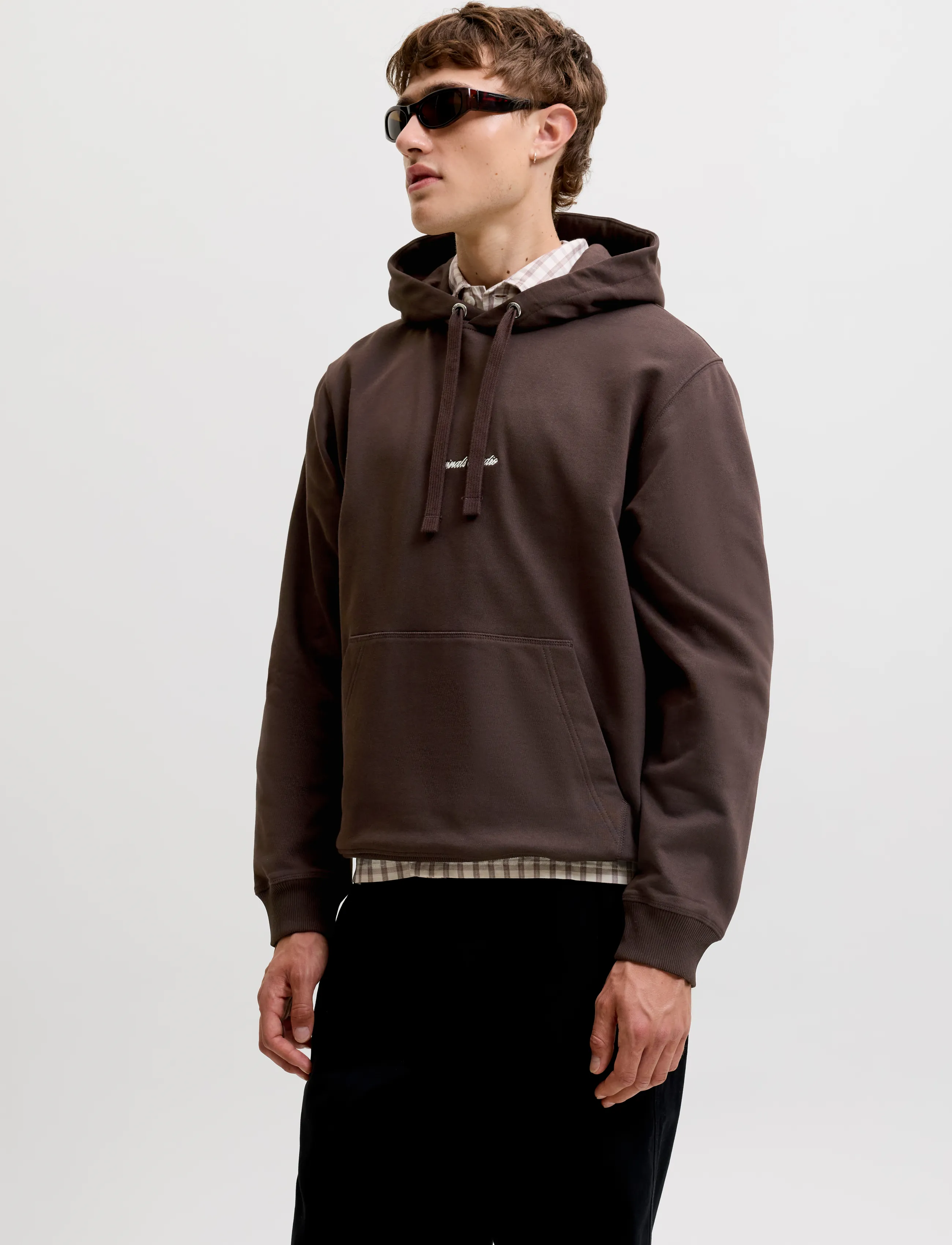 Jack & Jones JORNORREBRO EMB SWEAT HOOD NOOS - Sweatshirts & Hoodies - JAVA / brown