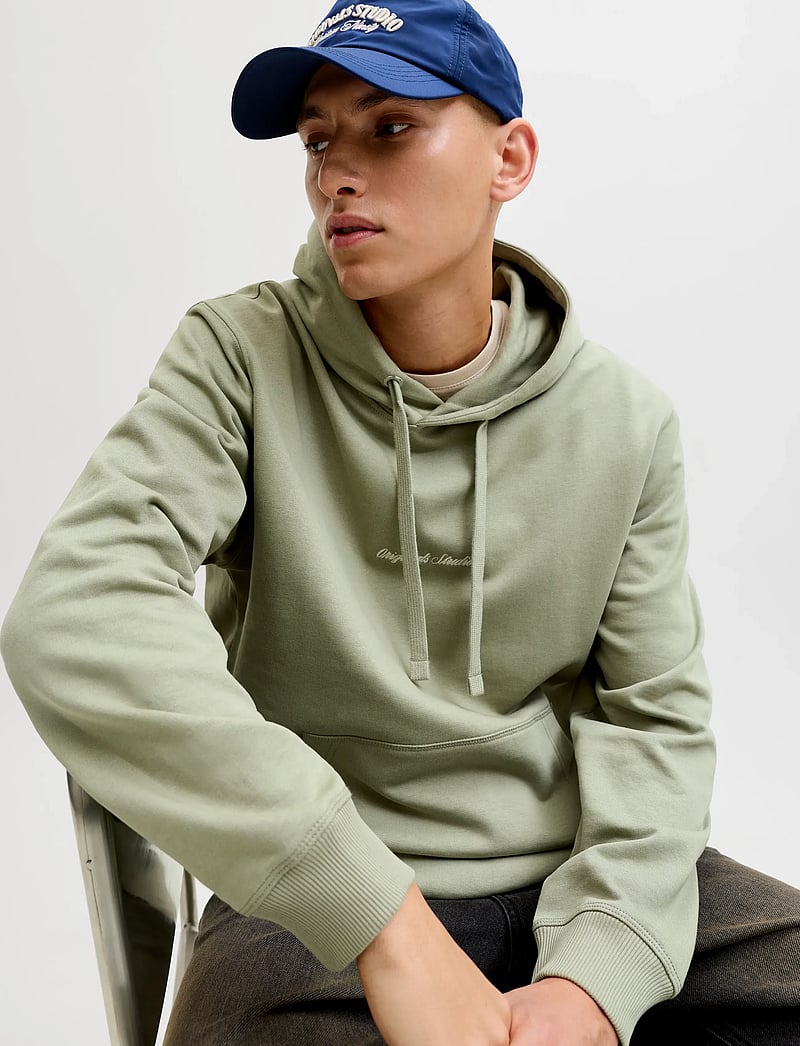 Jack & Jones - JORNORREBRO EMB SWEAT HOOD NOOS - kapuutsiga dressipluusid - seagrass - 5