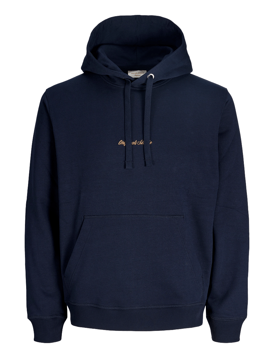 Jack & Jones - JORNORREBRO EMB SWEAT HOOD NOOS - kapuzenpullover - sky captain - 1