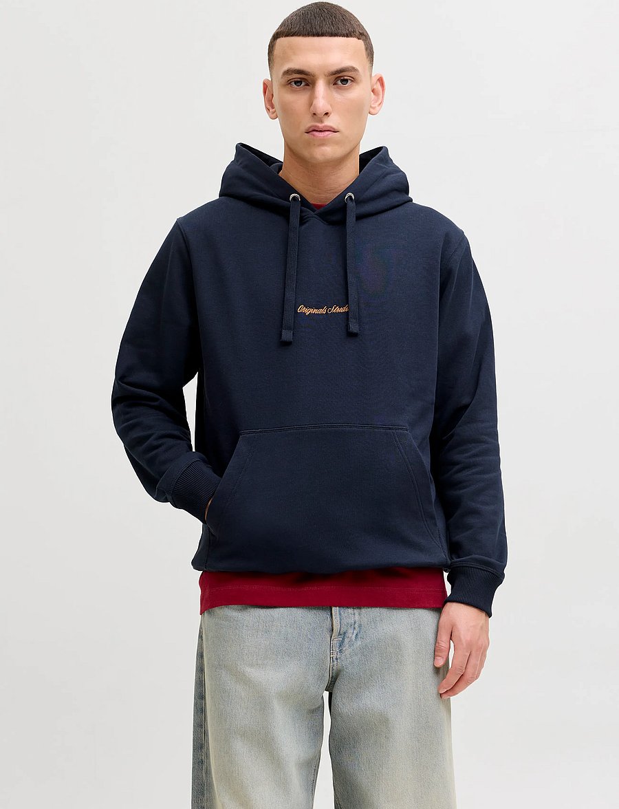 Jack & Jones - JORNORREBRO EMB SWEAT HOOD NOOS - kapuzenpullover - sky captain - 0