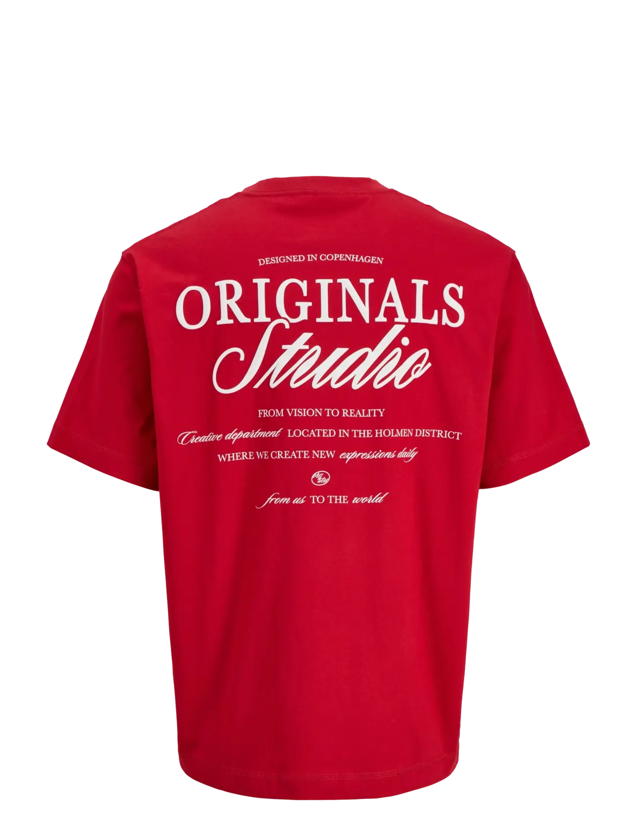 Jack & Jones - JORNORREBRO TYPO TEE SS CREW NECK NOOS - kortærmede t-shirts - samba - 2