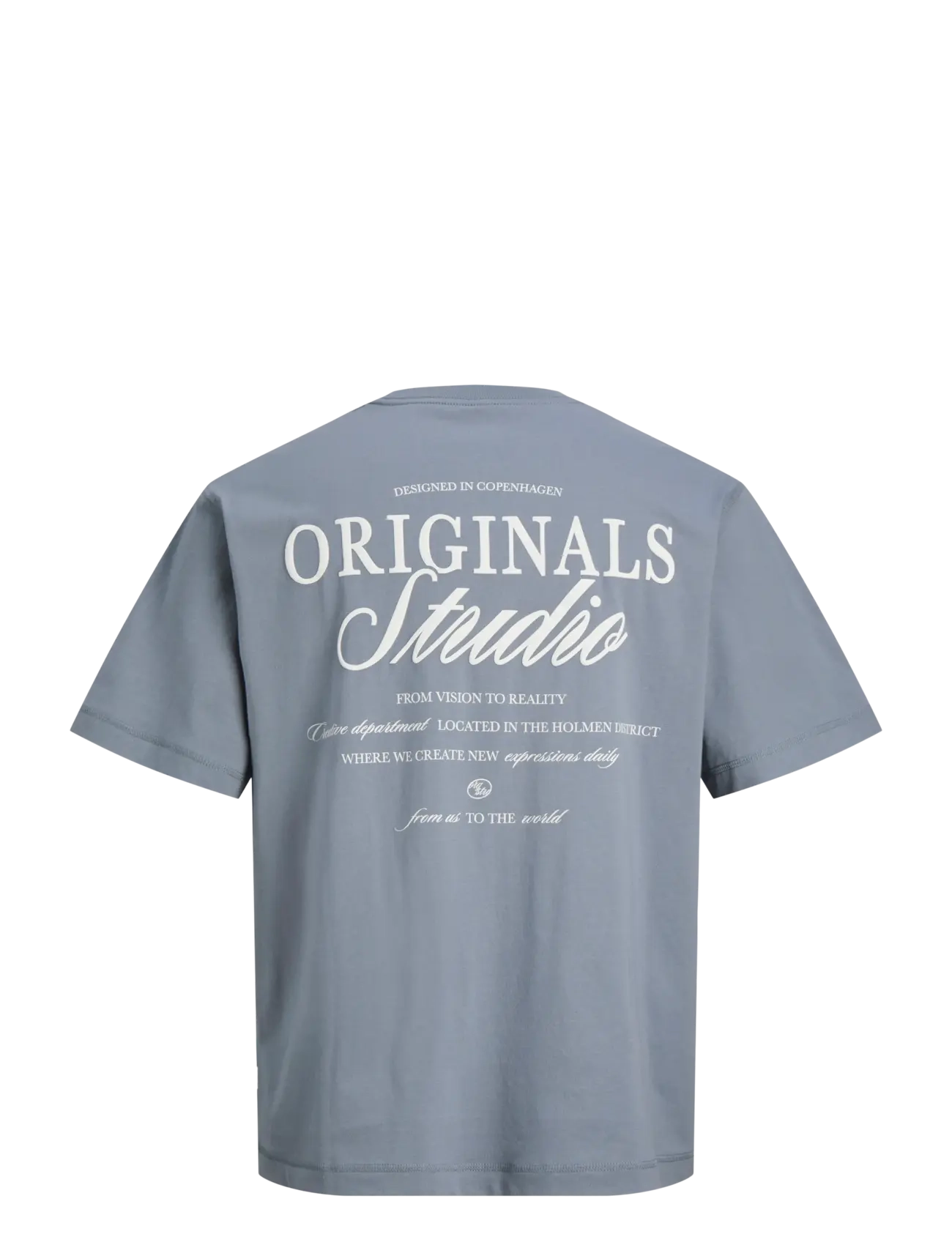 Jack & Jones - JORNORREBRO TYPO TEE SS CREW NECK NOOS - kortærmede t-shirts - tradewinds - 2