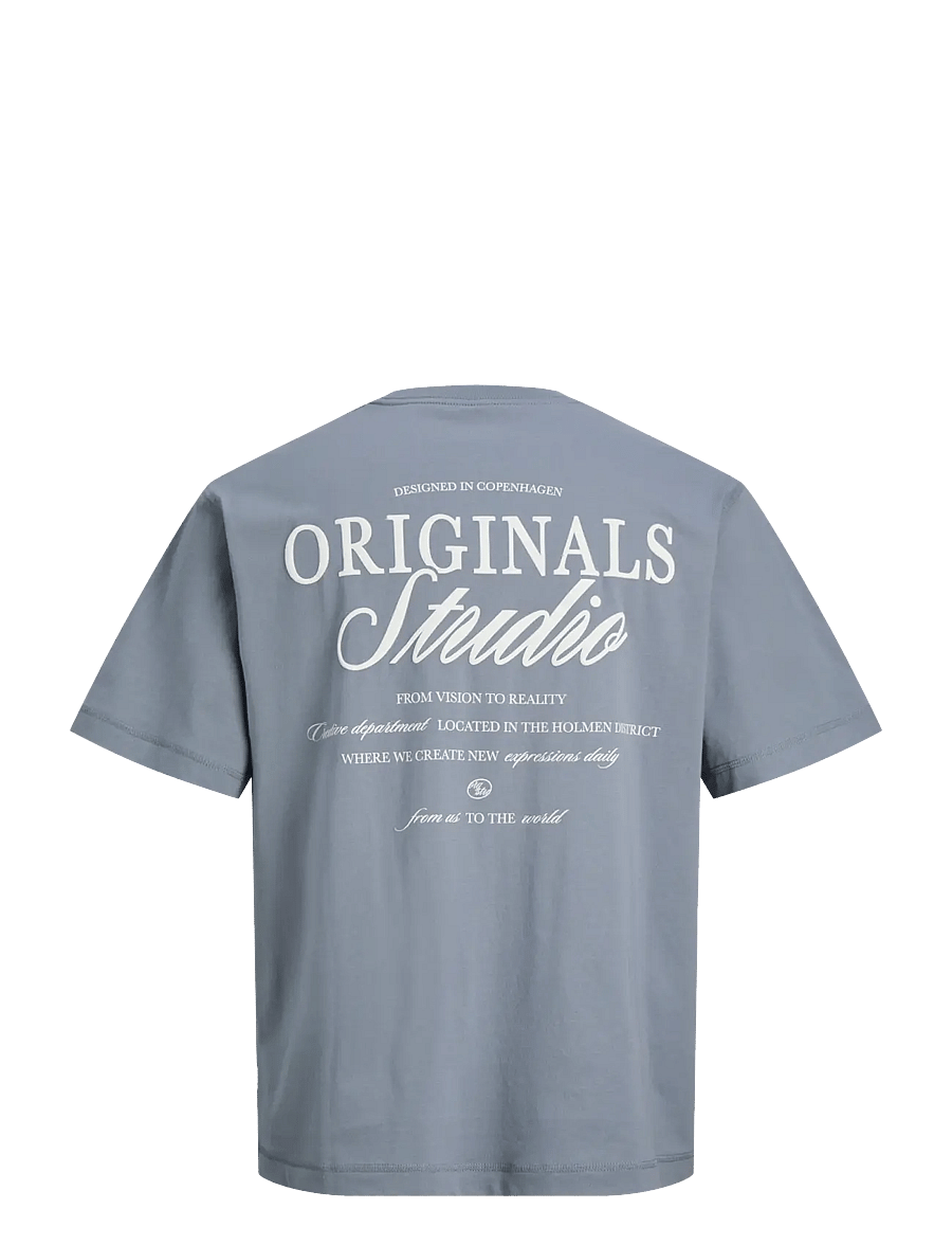 Jack & Jones - JORNORREBRO TYPO TEE SS CREW NECK NOOS - kortærmede t-shirts - tradewinds - 2