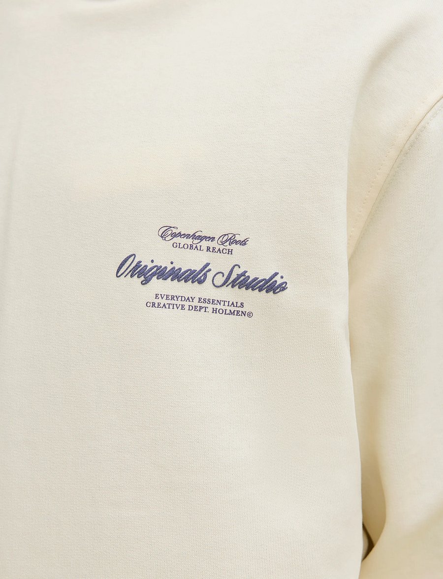 Jack & Jones - JORNORREBRO TYPO BACK SWEAT HOOD SN - hoodies - antique white - 5