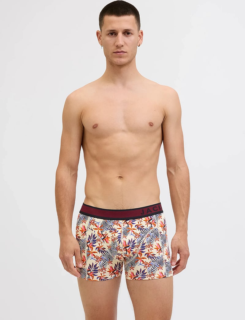 Jack & Jones - JACLANDON TRUNKS 10 PACK - aluspükste mitmikpakk - dark navy - 0