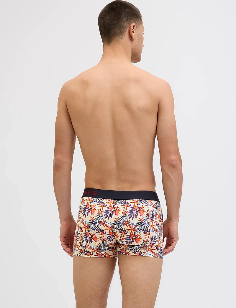 Jack & Jones - JACLANDON TRUNKS 10 PACK - aluspükste mitmikpakk - dark navy - 3