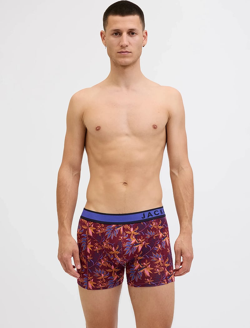 Jack & Jones - JACLANDON TRUNKS 10 PACK - aluspükste mitmikpakk - dark navy - 4