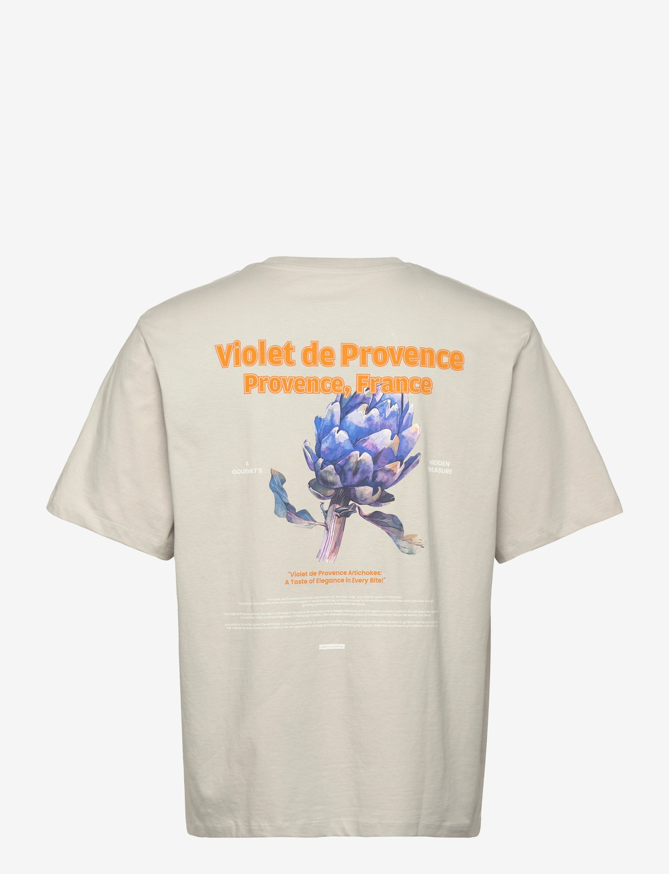 Jack & Jones - JJLEMON TEE SS CREW NECK - lühikeste varrukatega t-särgid - glacier gray - 1