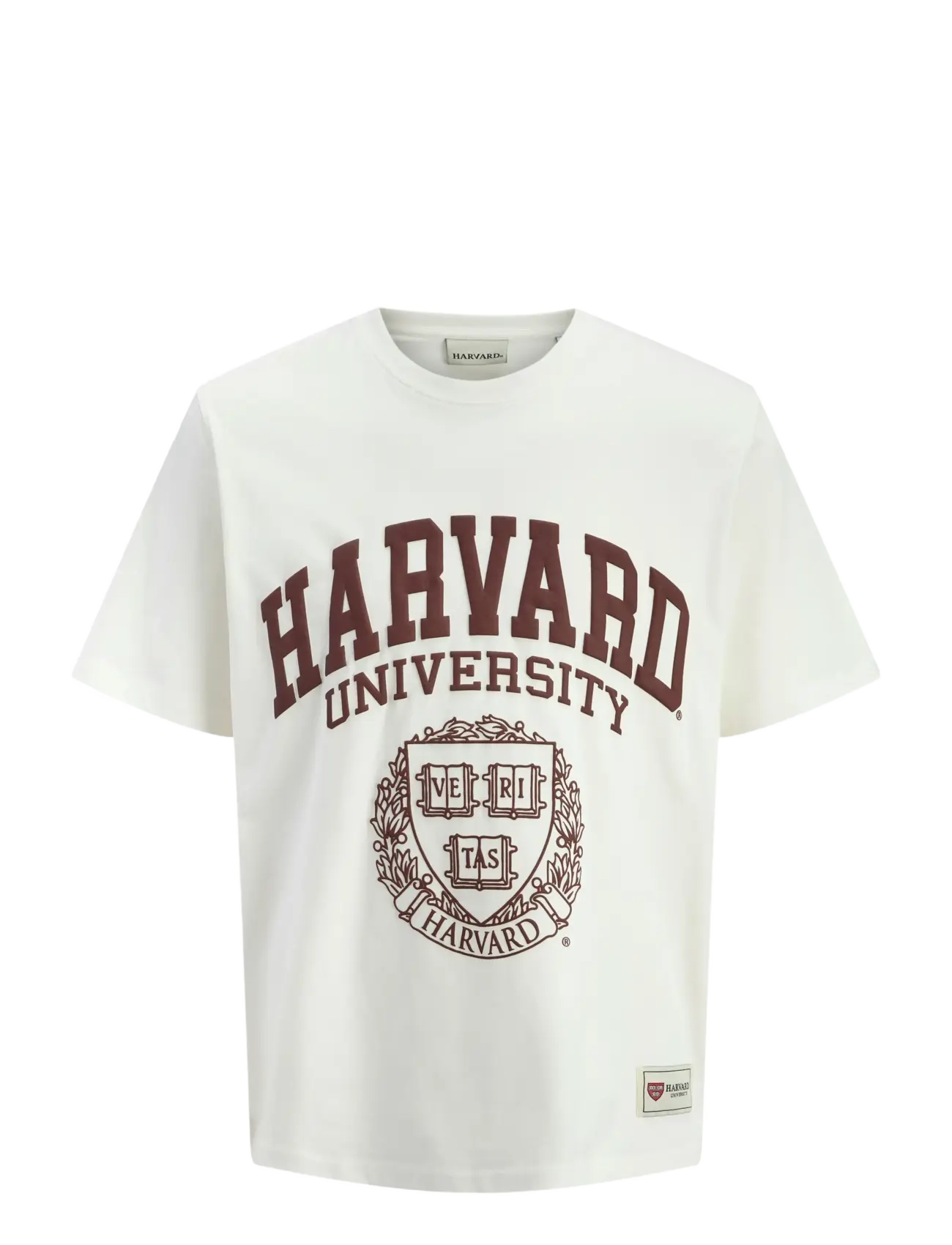 Jack & Jones JORHARVARD TEE SS C.N STYD SS25 - Marškinėliai - EGRET / white