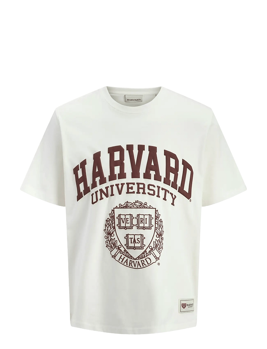Jack & Jones - JORHARVARD TEE SS C.N STYD SS25 - kortärmade t-shirts - egret - 1