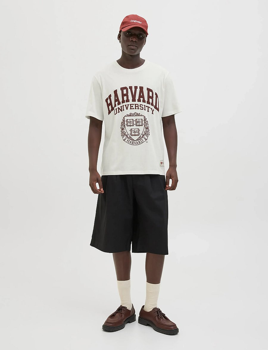 Jack & Jones - JORHARVARD TEE SS C.N STYD SS25 - kortärmade t-shirts - egret - 4