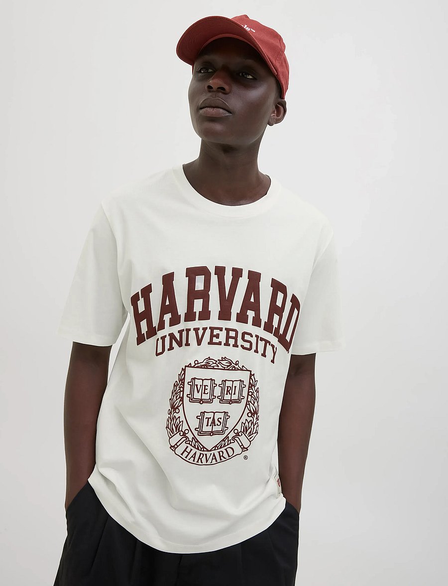 Jack & Jones - JORHARVARD TEE SS C.N STYD SS25 - kortärmade t-shirts - egret - 5