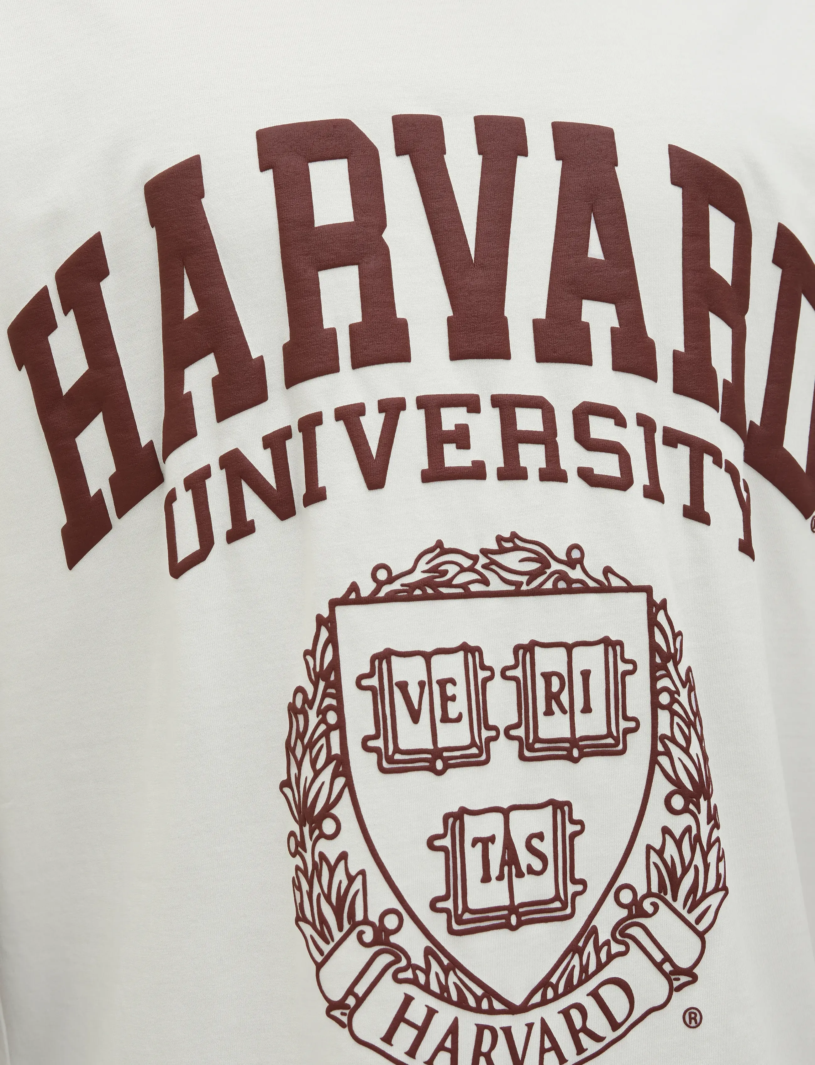 JACK & JONES Jorharvard Tee Ss C.n Styd Ss25 t-shirts herr – bild 5