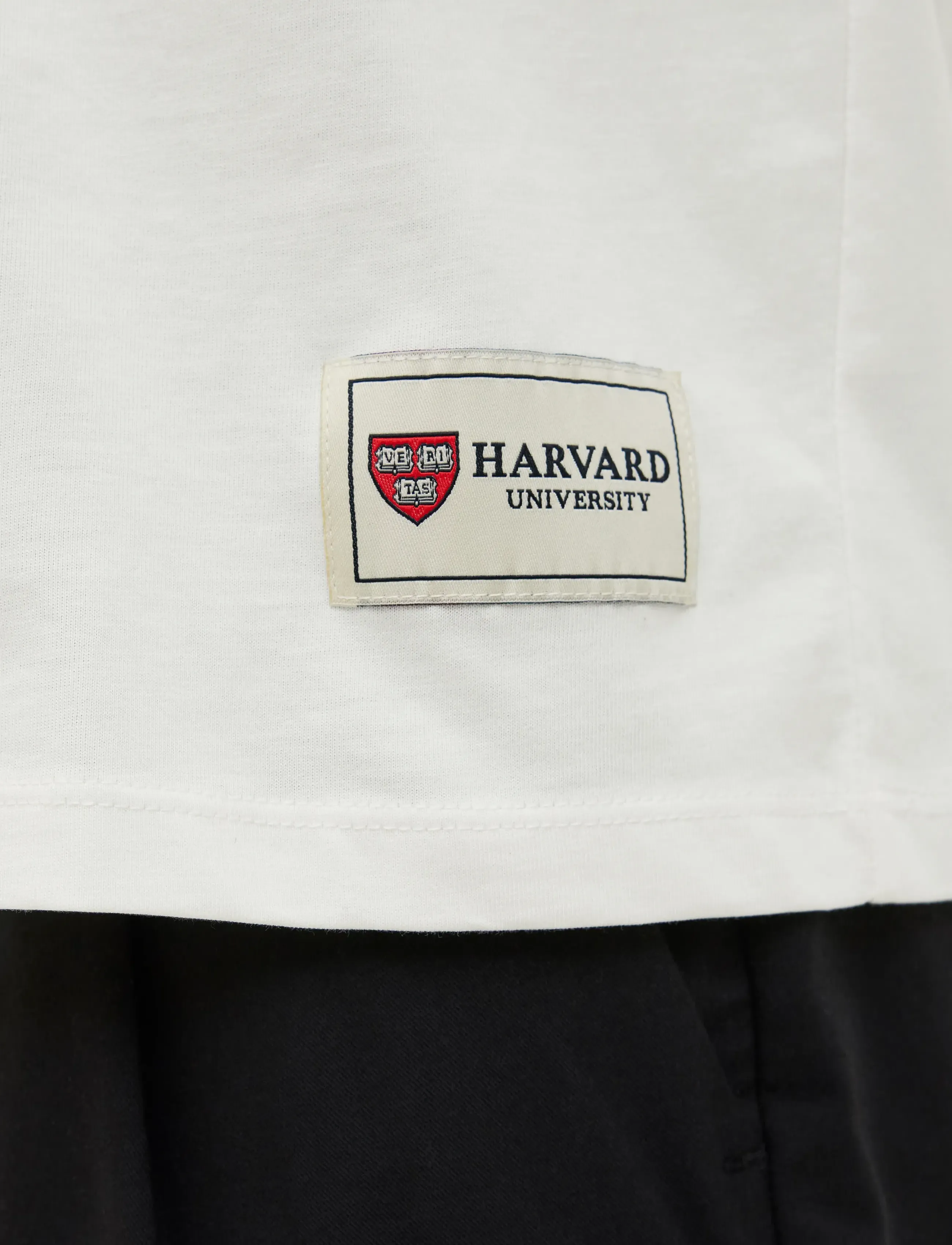 JACK & JONES Jorharvard Tee Ss C.n Styd Ss25 t-shirts herr – bild 6