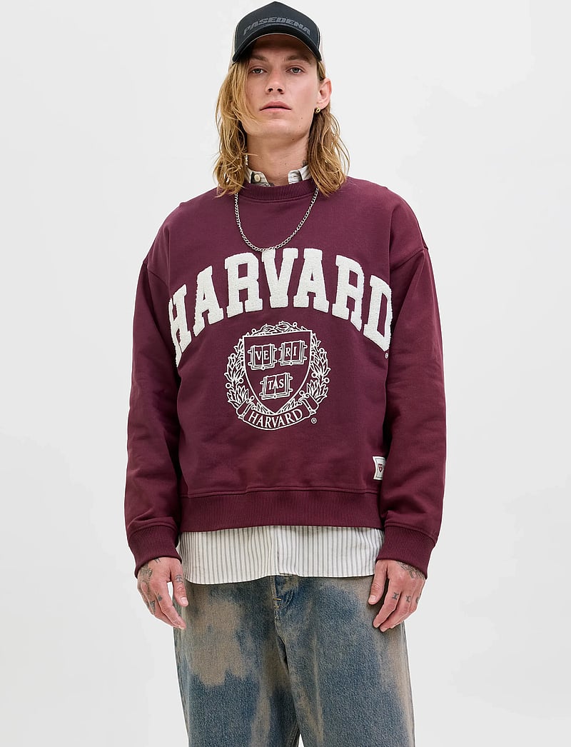 Jack & Jones - JORHARVARD SWEAT C.N STYD SS25 - kollektionen - maroon banner - 0