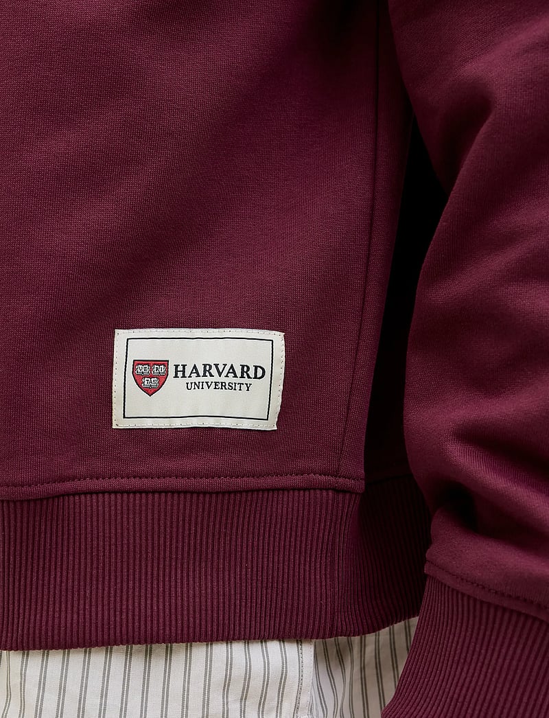 Jack & Jones - JORHARVARD SWEAT C.N STYD SS25 - kollektionen - maroon banner - 4