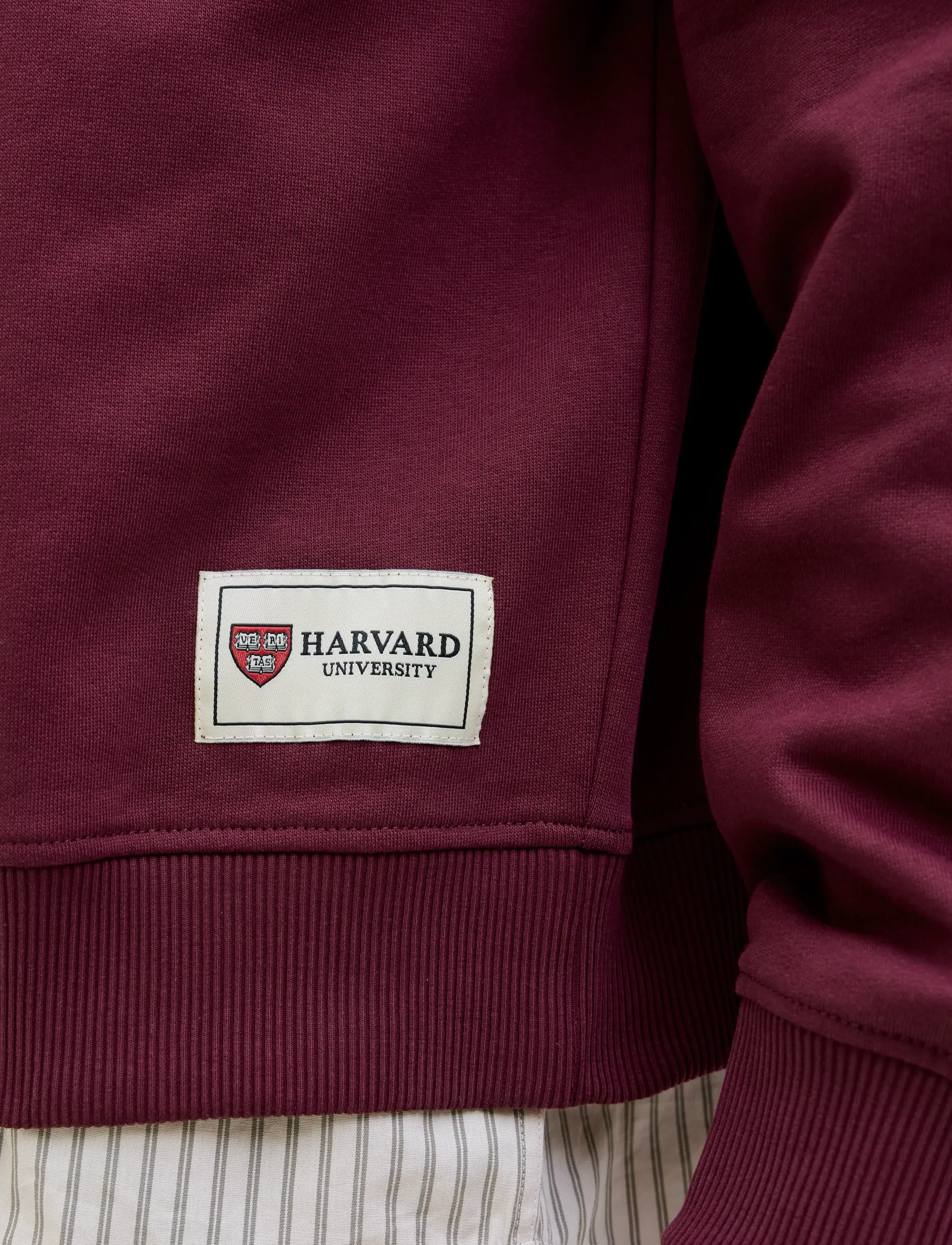 Jack & Jones - JORHARVARD SWEAT C.N STYD SS25 - kolekcijos - maroon banner - 4