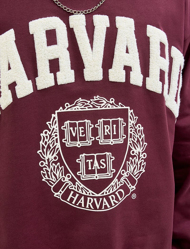 Jack & Jones - JORHARVARD SWEAT C.N STYD SS25 - kollektionen - maroon banner - 5