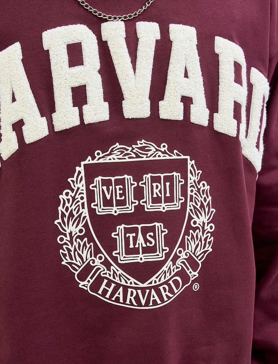 Jack & Jones - JORHARVARD SWEAT C.N STYD SS25 - kolekcijos - maroon banner - 5