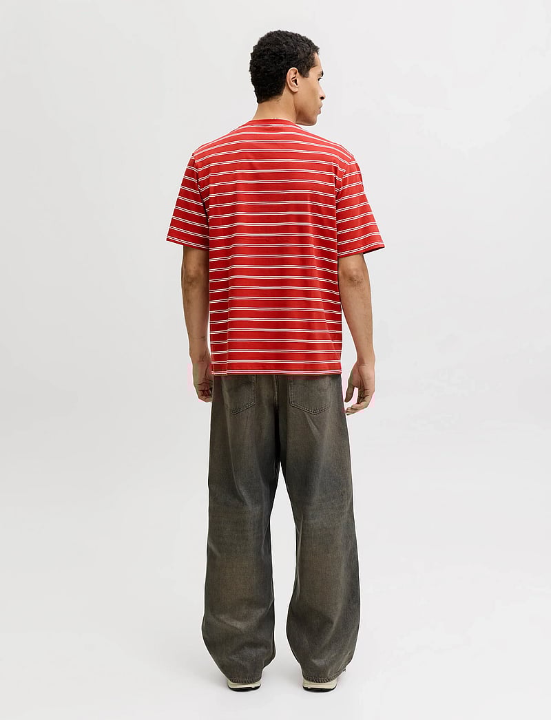 Jack & Jones - JORNORREBRO STRIPE TEE SS CN LN - marškinėliai trumpomis rankovėmis - samba - 2