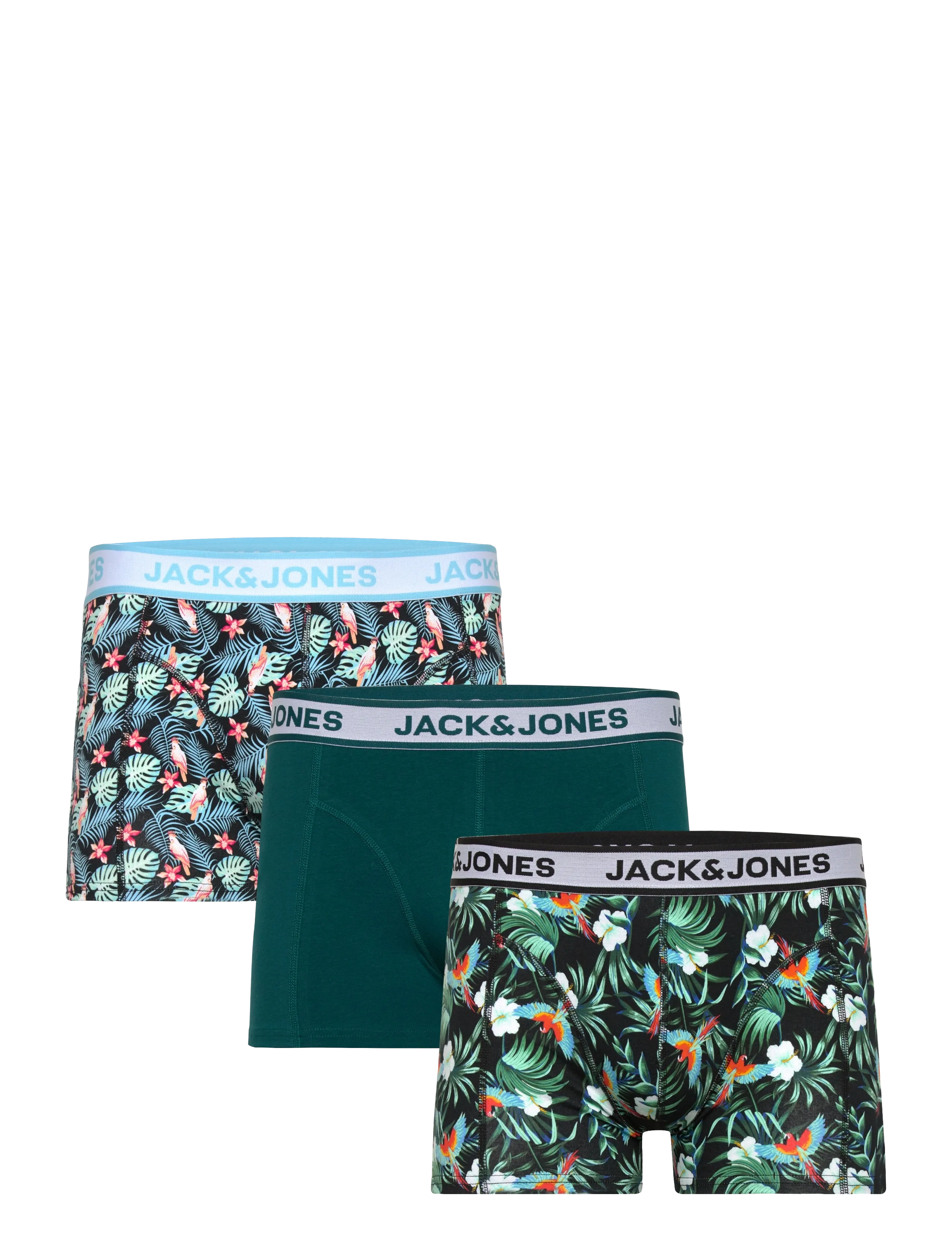 Jack & Jones JACBIRD LEAVES TRUNKS 3 PACK - Boxershorts - BLACK / green