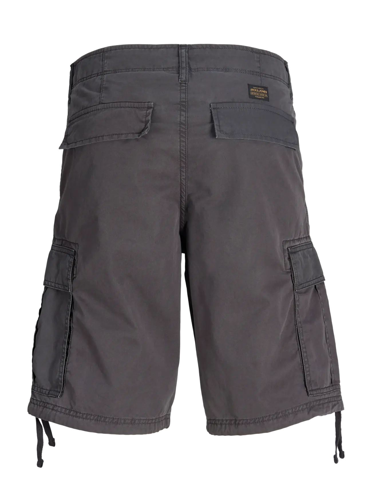 Jack & Jones - JPSTCOLE FRANK CARGO SHORTS MID SN - cargo shorts - asphalt - 2