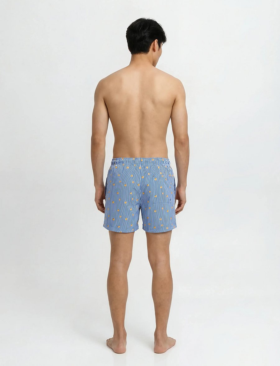 Jack & Jones - JPSTMAUI BREEZE MINI STRIPE SWIM SRT SN - badehose - delft - 3