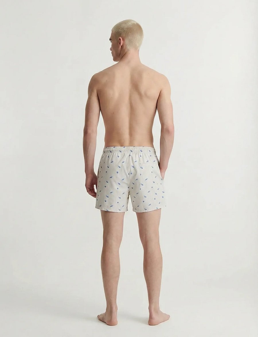 Jack & Jones - JPSTMAUI BREEZE MINI STRIPE SWIM SRT SN - badehose - moonbeam - 3