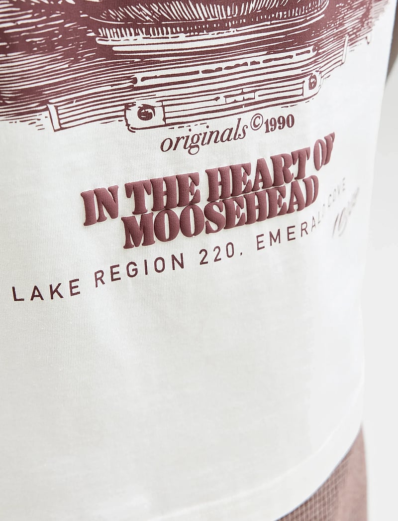 Jack & Jones - JORMAINE BACK TEE SS CREW NECK SN - kurzärmelig - cloud dancer - 5