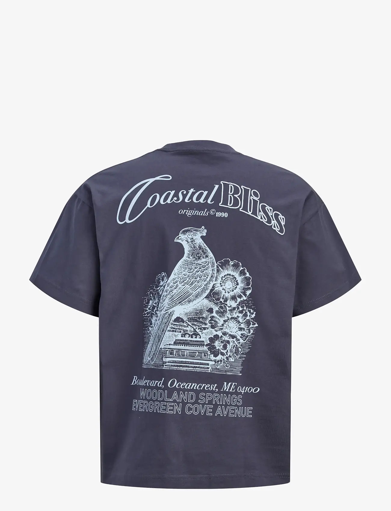 Jack & Jones - JORMAINE BACK TEE SS CREW NECK SN - kortærmede t-shirts - odyssey gray - 2