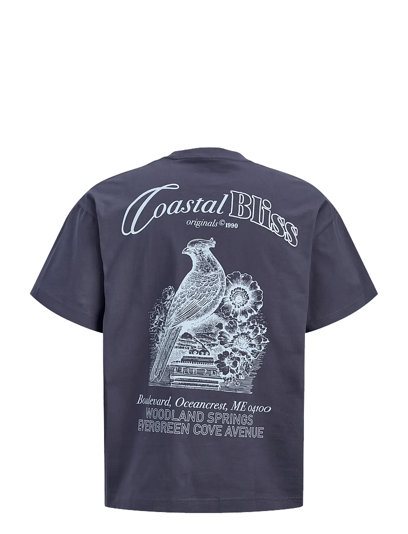 Jack & Jones - JORMAINE BACK TEE SS CREW NECK SN - kortærmede t-shirts - odyssey gray - 2