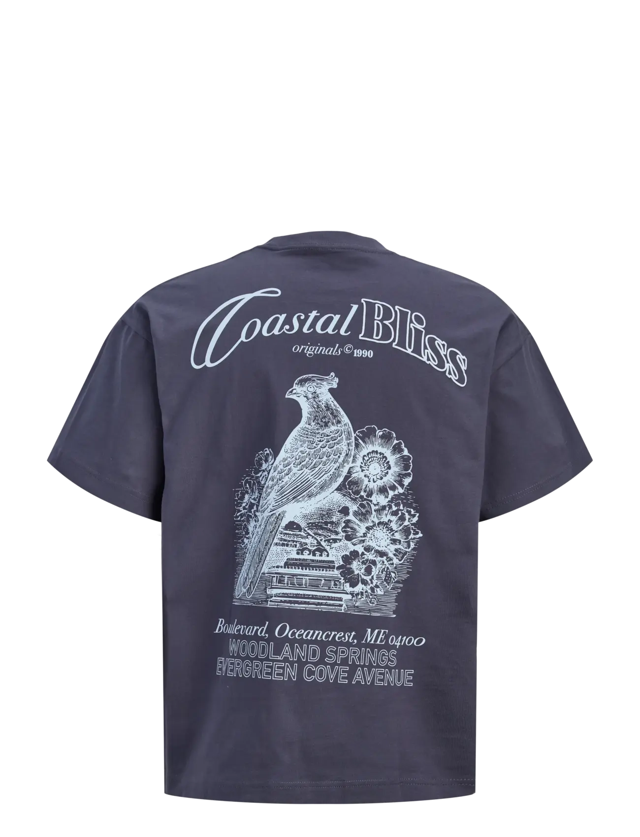 Jack & Jones - JORMAINE BACK TEE SS CREW NECK SN - lühikeste varrukatega t-särgid - odyssey gray - 2