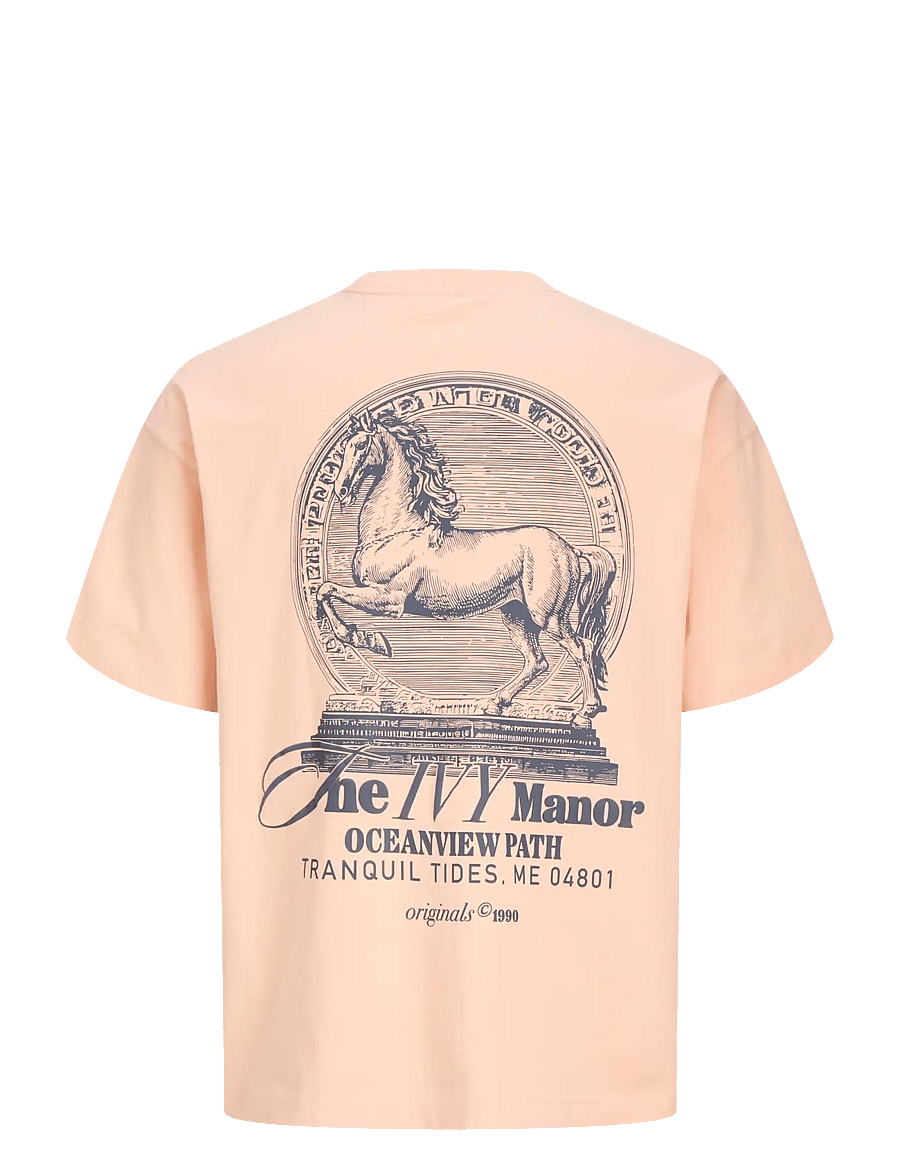Jack & Jones - JORMAINE BACK TEE SS CREW NECK SN - kortærmede t-shirts - peach melba - 2